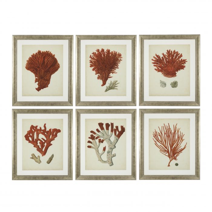 Eichholtz 111741 Prints EC258 Antique Red Corals set of 6
