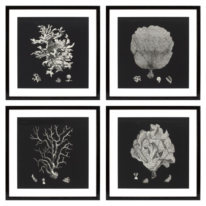 Eichholtz 106545 Prints EC191 Black & Tan Corals set of 4 