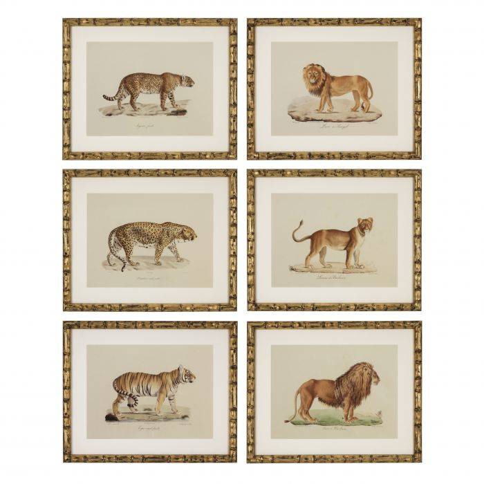 Eichholtz 111745 Prints EC262 Lion, Tigre, Jaguar set of 6 