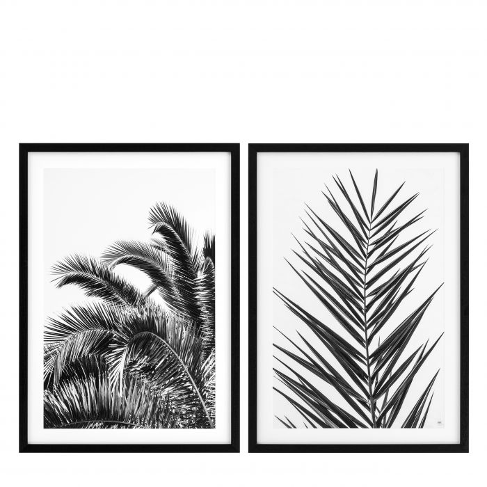 Eichholtz 112195 Prints EC274 Palm Leaves set of 2 