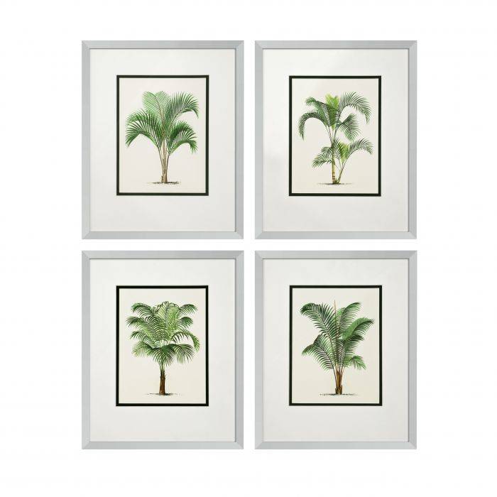 Eichholtz 108852 Print Palms S/4