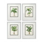 Иконка Eichholtz 108852 Print Palms S/4