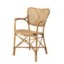 Иконка Eichholtz 110010 Chair Colony with arm honey finish