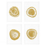 Иконка Eichholtz 110875 Prints EC257 Gold Foil: Tree Rings set of 4
