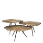 Иконка Eichholtz 111461 Coffee Table Quercus brass finish set of 3
