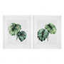 Иконка Eichholtz 111742 Prints EC259 Tropical Plants set of 2